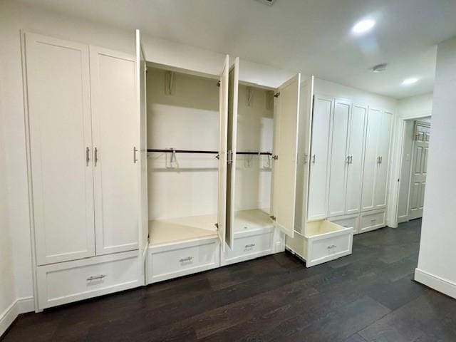 9226 Kapri Ln, Houston, TX 77025 - view of closet