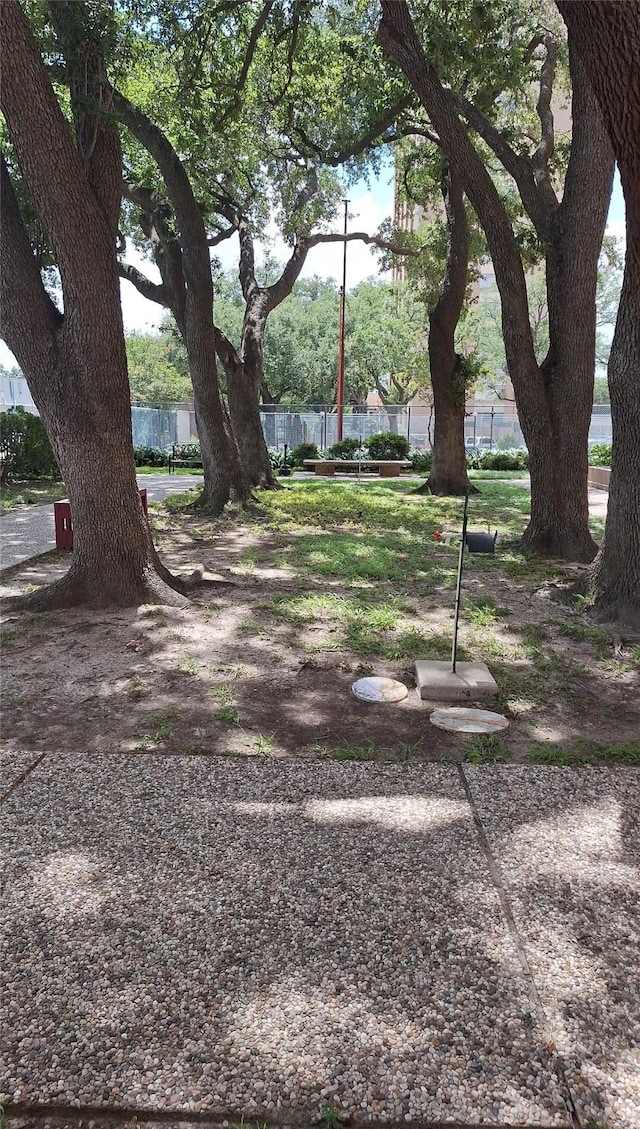 7510 Hornwood, Houston, TX 77036 - view of yard