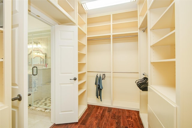 22315 Claysprings Ln, Katy, TX 77450 - walk in closet with dark wood finished floors