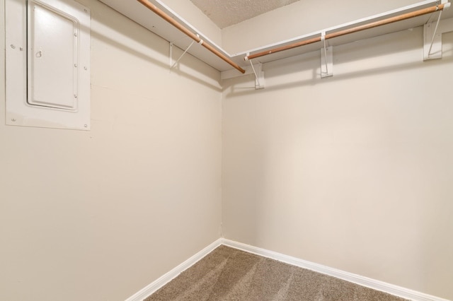 23030 Cranberry Trl, Spring, TX 77373 - photo 19