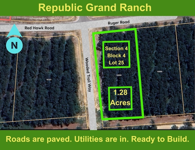10999 Ruger Rd, Willis, TX 77378 - photo 1