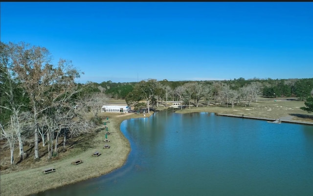 10999 Ruger Rd, Willis, TX 77378 - photo 10