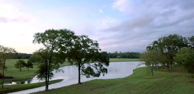 10999 Ruger Rd, Willis, TX 77378 - photo 12
