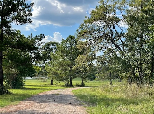 10999 Ruger Rd, Willis, TX 77378 - photo 13
