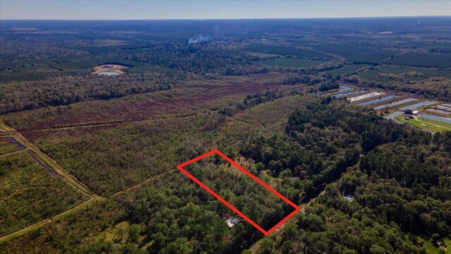 1234 County Road 2145, Cleveland, TX 77327 - photo 3