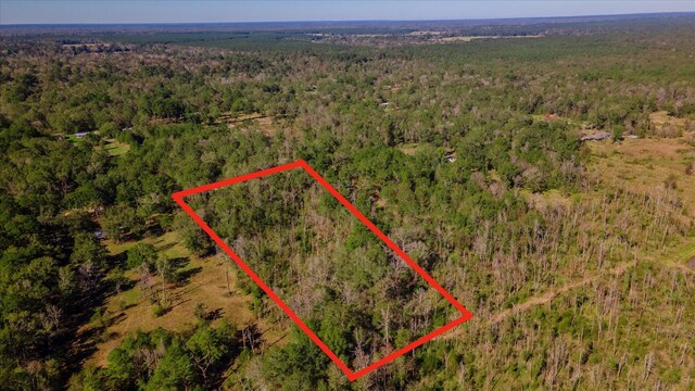 1234 County Road 2145, Cleveland, TX 77327 - photo 6