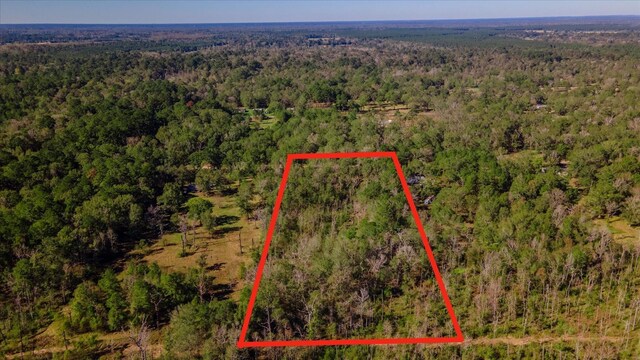 1234 County Road 2145, Cleveland, TX 77327 - photo 7