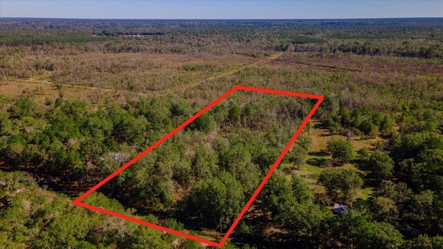 1234 County Road 2145, Cleveland, TX 77327 - photo 9