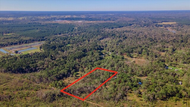 1234 County Road 2145, Cleveland, TX 77327 - photo 12