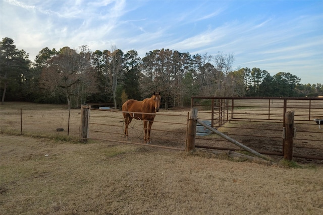 394 Fm 230, Trinity, TX 75862 - photo 26