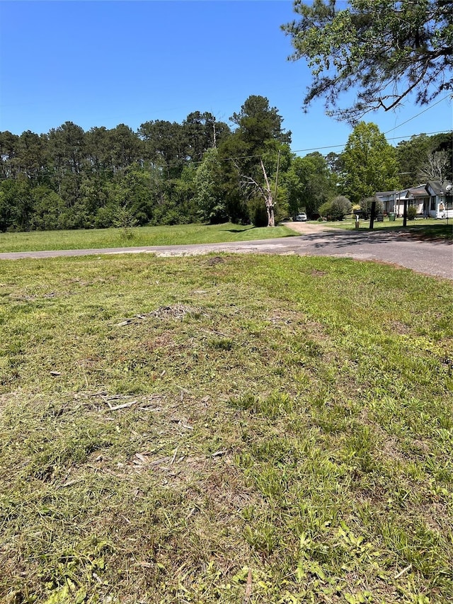 132 Paul Ave, Dayton, TX 77535 - photo 4
