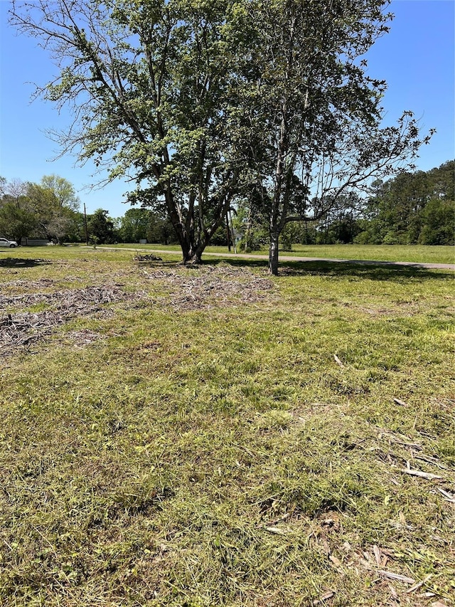 132 Paul Ave, Dayton, TX 77535 - photo 5