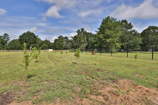 12923 Kowis Ln, Plantersville, TX 77363 - photo 16