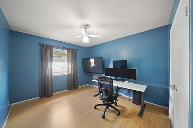 1235 Witte Rd Unit 8, Houston, TX 77055 - photo 16