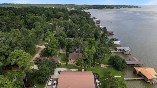 1831 Lakeview Estates Dr, Coldspring, TX 77331 - aerial view of property and surrounding area featuring a large body of water and a forest