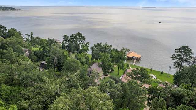 1831 Lakeview Estates Dr, Coldspring, TX 77331 - aerial view of property and surrounding area with a large body of water