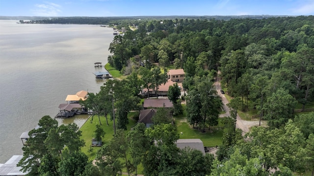 1831 Lakeview Estates Dr, Coldspring, TX 77331 - aerial view of property's location featuring a nearby body of water and a forest