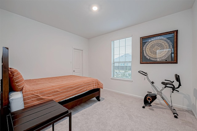 23722 Canolo Grove Ln, New Caney, TX 77357 - bedroom with baseboards and carpet