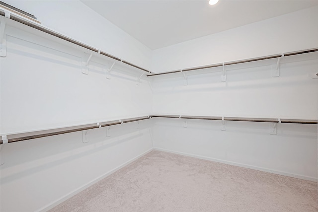 23722 Canolo Grove Ln, New Caney, TX 77357 - walk in closet with carpet floors