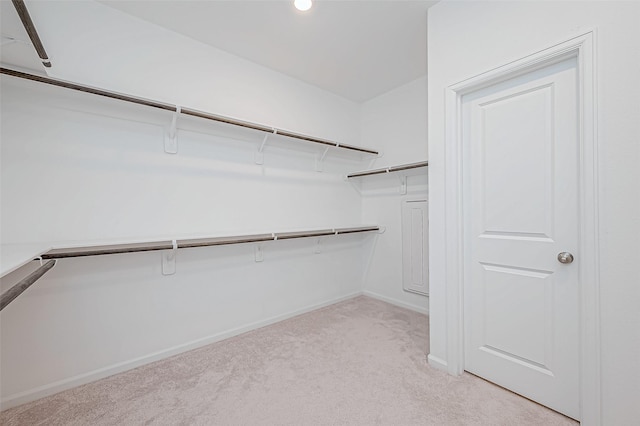 23722 Canolo Grove Ln, New Caney, TX 77357 - spacious closet with light carpet