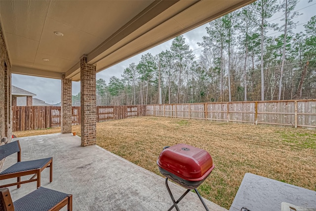 23722 Canolo Grove Ln, New Caney, TX 77357 - fenced backyard with a patio area and a grill
