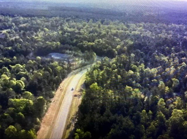 15629 Forest Knoll Rd, Willis, TX 77378 - photo 1