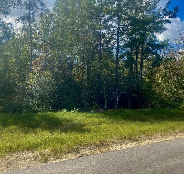 15629 Forest Knoll Rd, Willis, TX 77378 - photo 2
