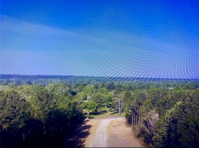 15629 Forest Knoll Rd, Willis, TX 77378 - photo 3