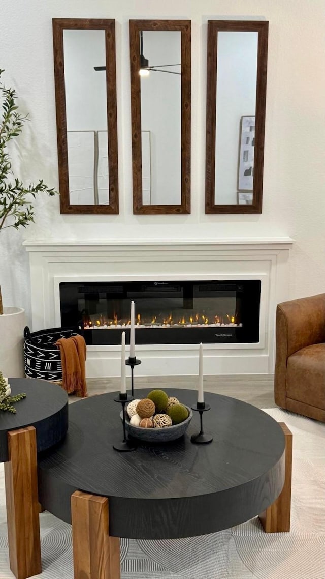 25050 Shady Oak Dr, Hockley, TX 77447 - detailed view of a glass covered fireplace