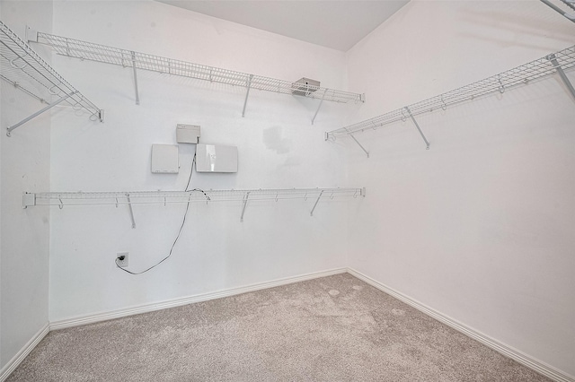 4142 Regal Stone Ln, Sugar Land, TX 77479 - walk in closet featuring carpet flooring