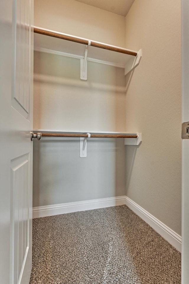 10477 Valley Dr N, Willis, TX 77318 - view of spacious closet