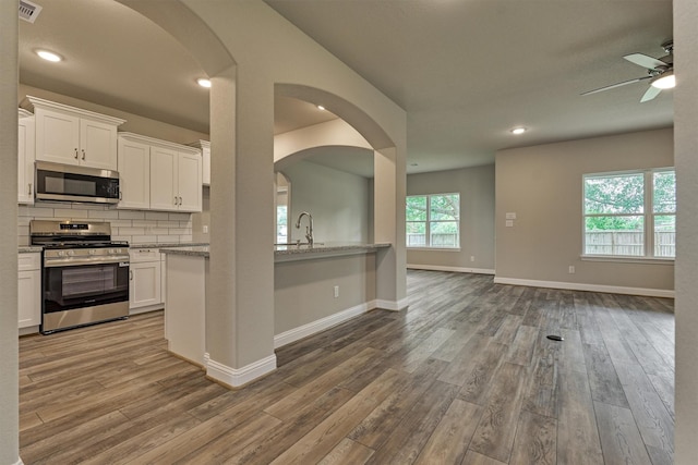 10477 Valley Dr N, Willis, TX 77318 - kitchen featuring stainless steel appliances, open floor plan, a ceiling fan, wood finished floors, and recessed lighting