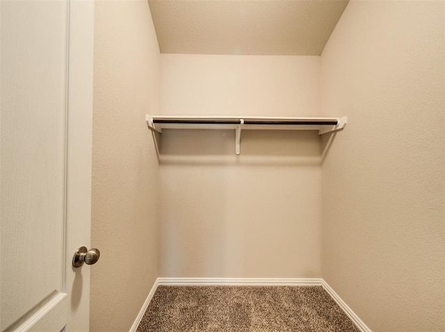 3514 Marquesa Ln, Houston, TX 77084 - spacious closet with carpet floors