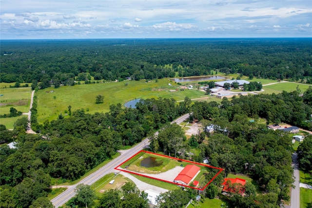 14256 Fm 1485th Rd, Conroe, TX 77306 - photo 35