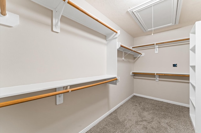 14607 Dawn Mist Ct, Magnolia, TX 77354 - spacious closet with attic access and carpet floors