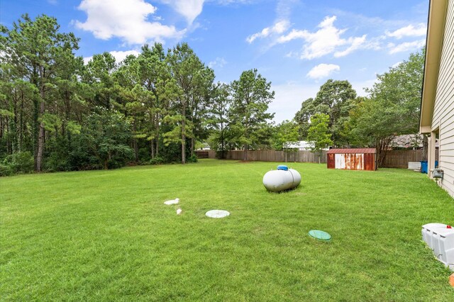 14607 Dawn Mist Ct, Magnolia, TX 77354 - fenced backyard featuring a storage shed