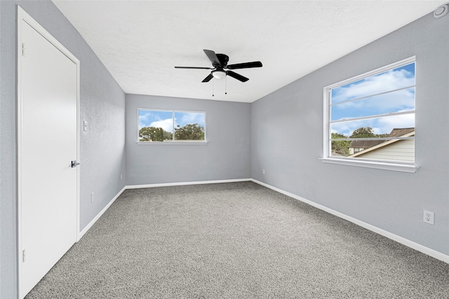 13614 Wood Terrace Dr, Houston, TX 77038 - photo 17