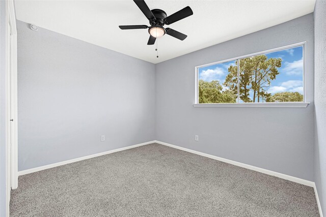 13614 Wood Terrace Dr, Houston, TX 77038 - photo 20