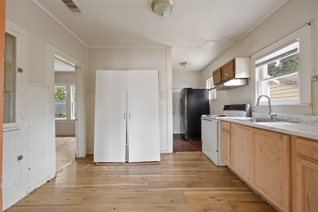 1410 8th St, Rosenberg, TX 77471 - photo 12