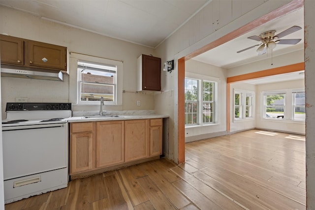 1410 8th St, Rosenberg, TX 77471 - photo 14