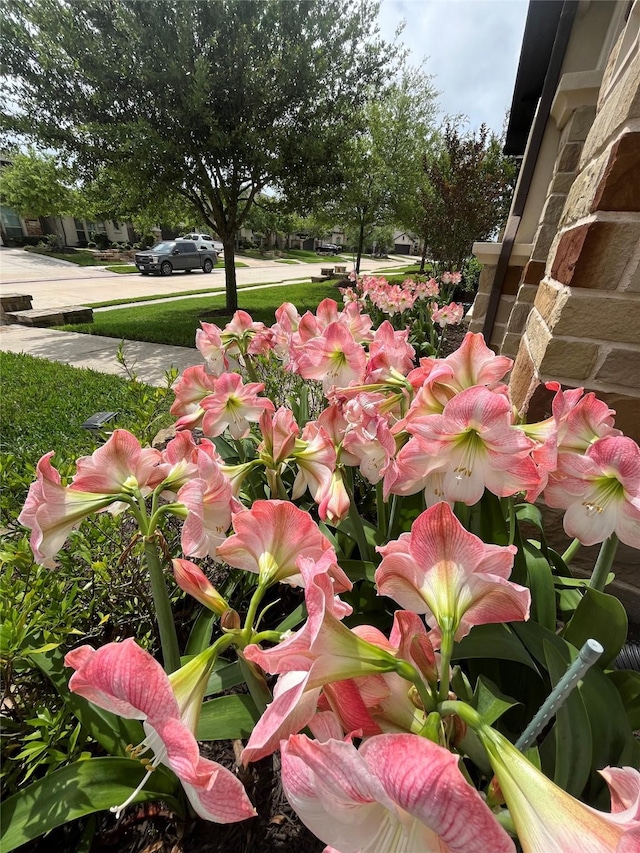 828 Galloway Mist Ln, Friendswood, TX 77546 - photo 47