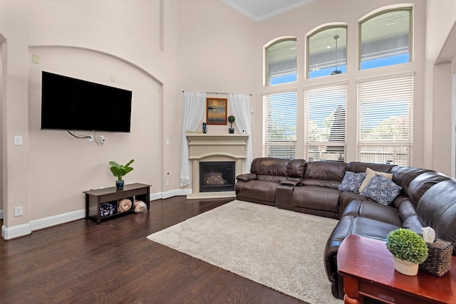 31304 New Forest Park Ln, Spring, TX 77386 - living area with crown molding, dark wood-type flooring, a glass covered fireplace, and a towering ceiling