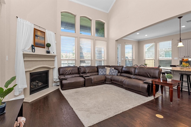 31304 New Forest Park Ln, Spring, TX 77386 - living area featuring crown molding, a glass covered fireplace, dark wood finished floors, and a towering ceiling
