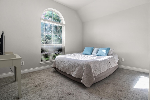 15 Eden Hollow Ln, Richmond, TX 77406 - bedroom featuring carpet floors and lofted ceiling