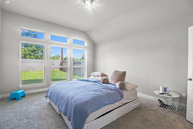 15 Eden Hollow Ln, Richmond, TX 77406 - carpeted bedroom featuring baseboards and lofted ceiling