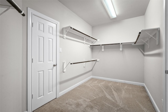 5227 Birch Falls Ln, Sugar Land, TX 77479 - walk in closet featuring light carpet