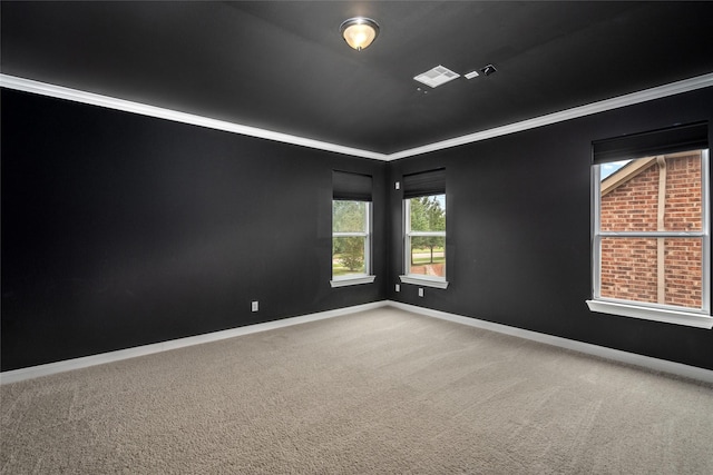 5227 Birch Falls Ln, Sugar Land, TX 77479 - spare room with carpet flooring and crown molding