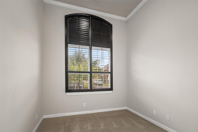 5227 Birch Falls Ln, Sugar Land, TX 77479 - carpeted empty room with ornamental molding and baseboards
