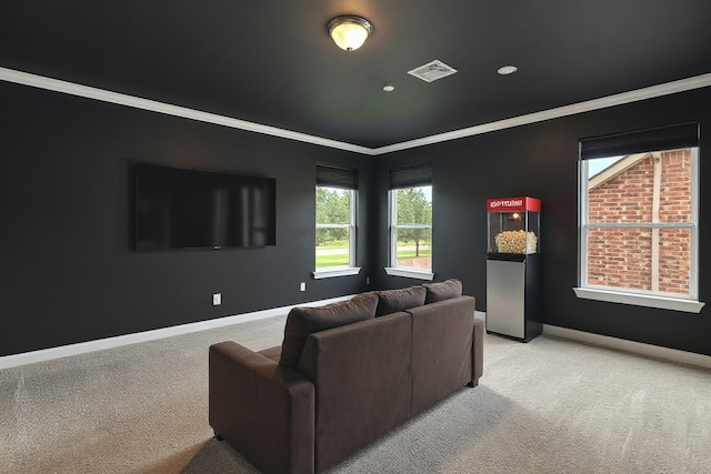 5227 Birch Falls Ln, Sugar Land, TX 77479 - cinema room with light colored carpet, crown molding, and recessed lighting