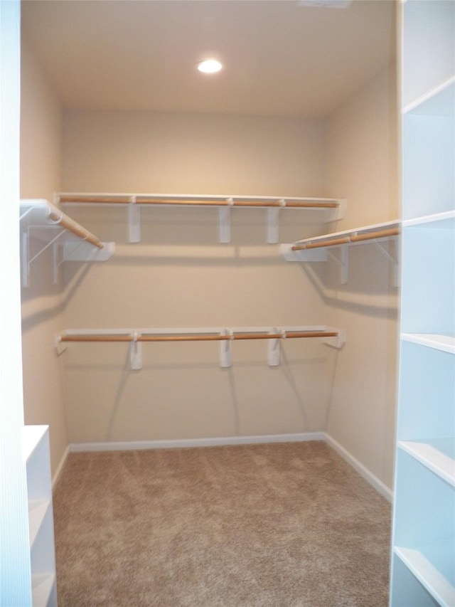 4218 Sorsby Dr, Houston, TX 77047 - spacious closet with carpet floors